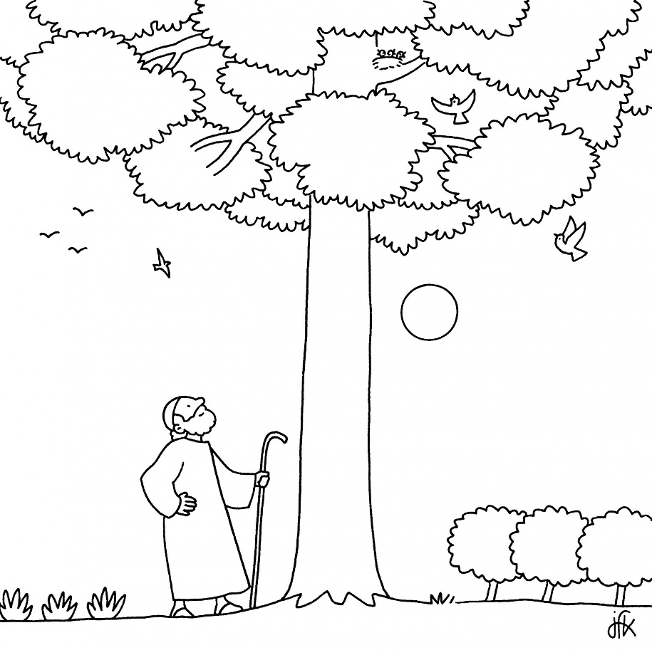 915x913 The Parable Of Budding Fig Tree A Da Figueira Biblekids