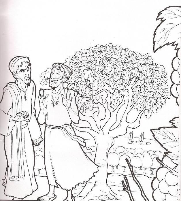 628x697 Coloring Page Parable Of The Fig Tree Fig Tree