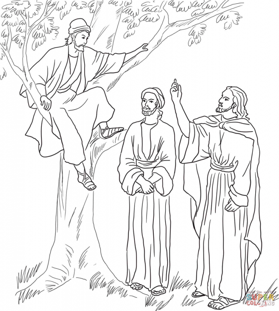 918x1024 Coloring Page Fig Tree Best Of Zacchaeus Jumps To See Jesus Unique