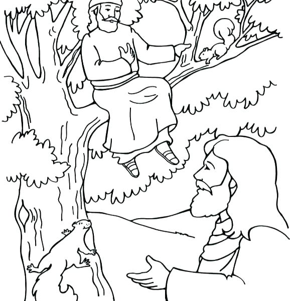 578x600 Coloring Pages Of Zacchaeus The Tax Collector Best Page Fig Tree