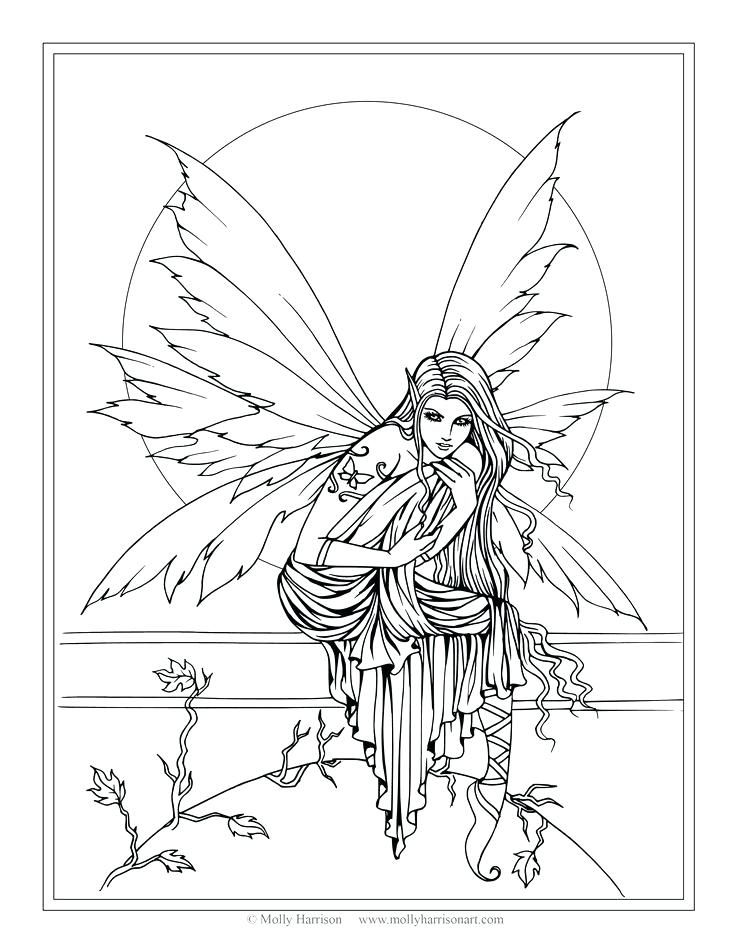 736x952 Fantasy Coloring Pages Fairy Companions Coloring Book Fairy