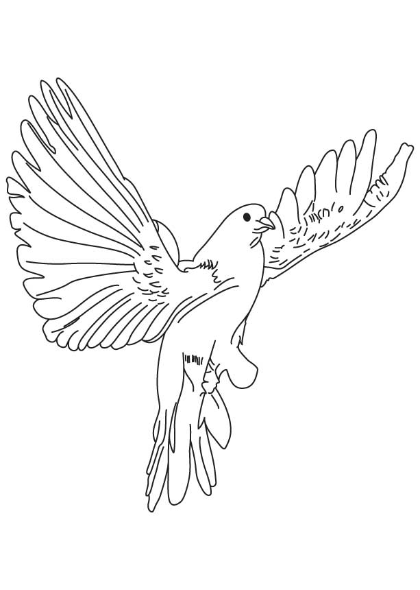 613x860 Bluebird Coloring Page Many Interesting Cliparts