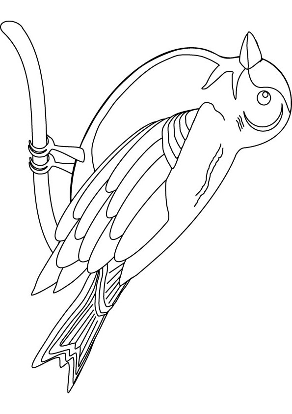 595x842 Finch Bird Coloring Page