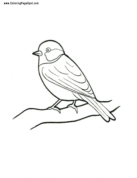 463x600 Bird Coloring Page Finch Coloring Pages Bird