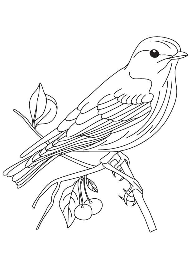 613x860 Blue Bird Cartoon