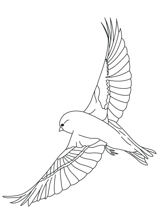 613x860 Blue Coloring Pages The Whale Is Blue Coloring Page Blue Bird Blue