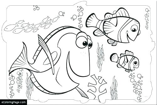 500x336 Dory Fish Coloring Dory Fish Coloring Lovely Dory Coloring Pages