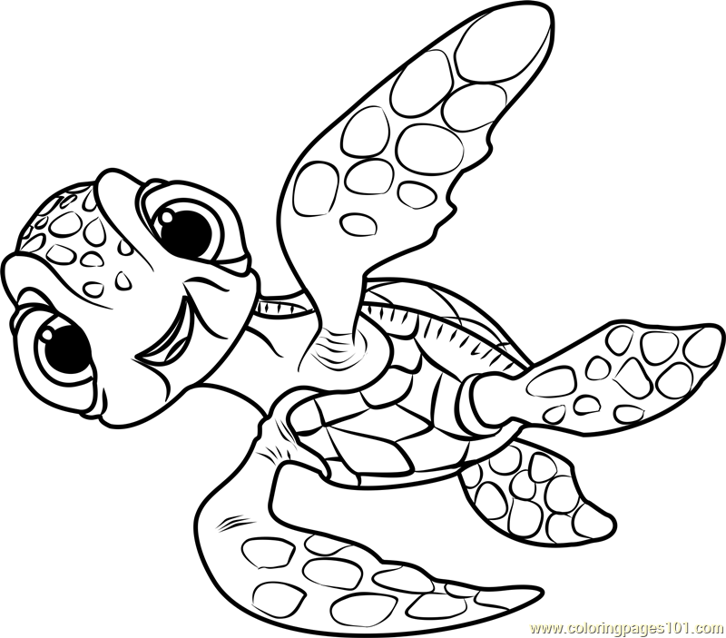 800x703 Squirt Coloring Page