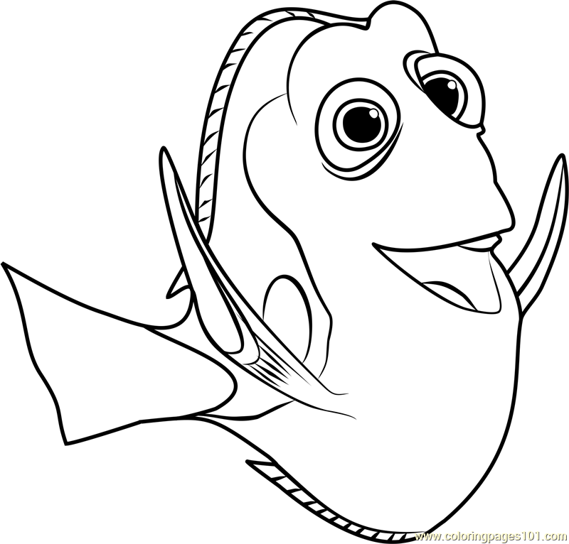 800x766 Dory Coloring Page