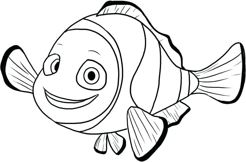 808x533 Finding Dory Coloring Pages Printable Finding Coloring Pages Free