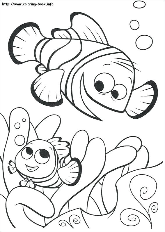567x794 Finding Dory Coloring Pages Bailey Icontent