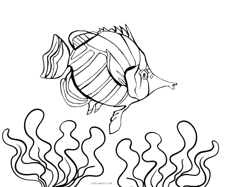 970x793 Finding Nemo Printable Coloring Pages Coloring Page Aquarium