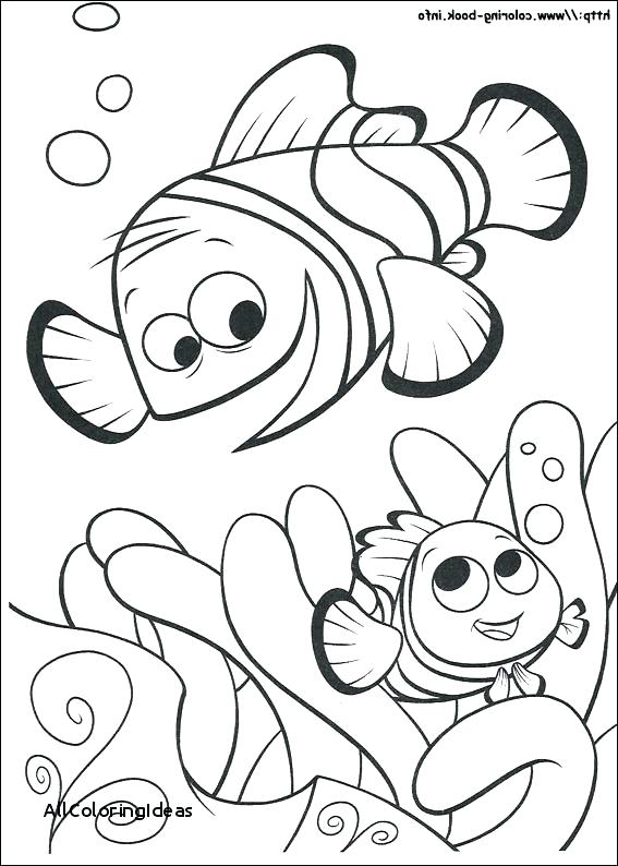 567x794 Finding Nemo Printable Coloring Pages Free Online Finding Nemo