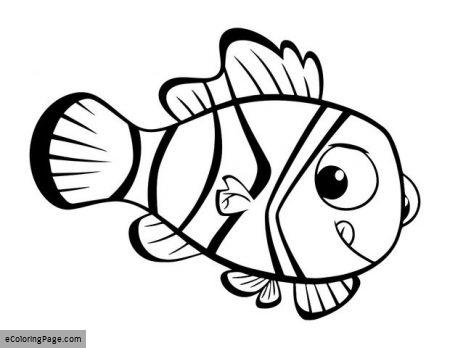 450x348 Nemo Coloring Pages Finding Nemo Coloring Pages Ecoloringpagecom