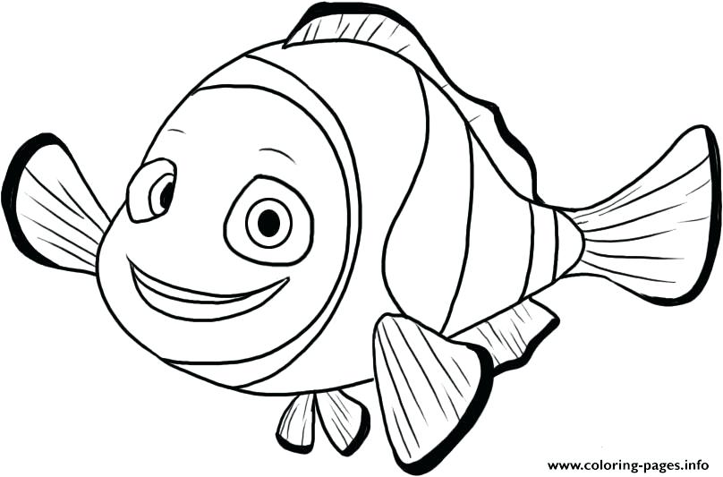 808x533 Finding Nemo Characters Coloring Pages 37459