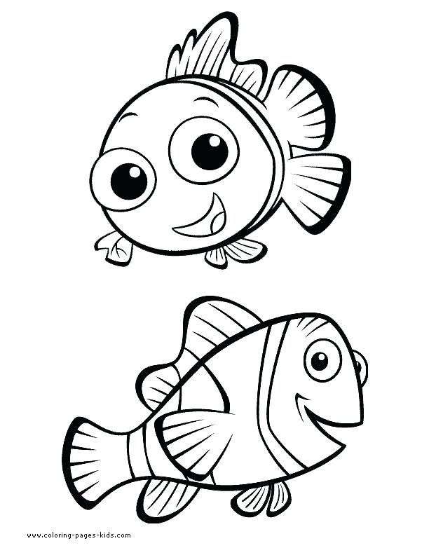 612x792 Marlin Dory Coloring Page From Finding Category Finding Marlin