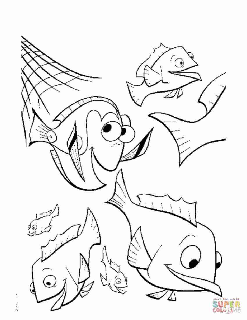 850x1100 Finding Nemo Coloring Pages Free For Alluring Olegratiy