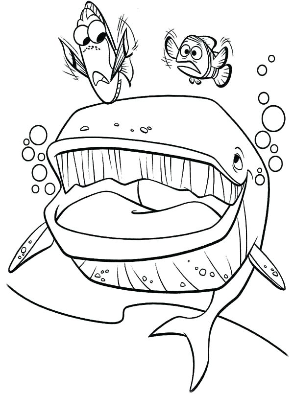 600x805 Nemo Coloring Pages Finding Coloring Pages Finding Marlin Dory