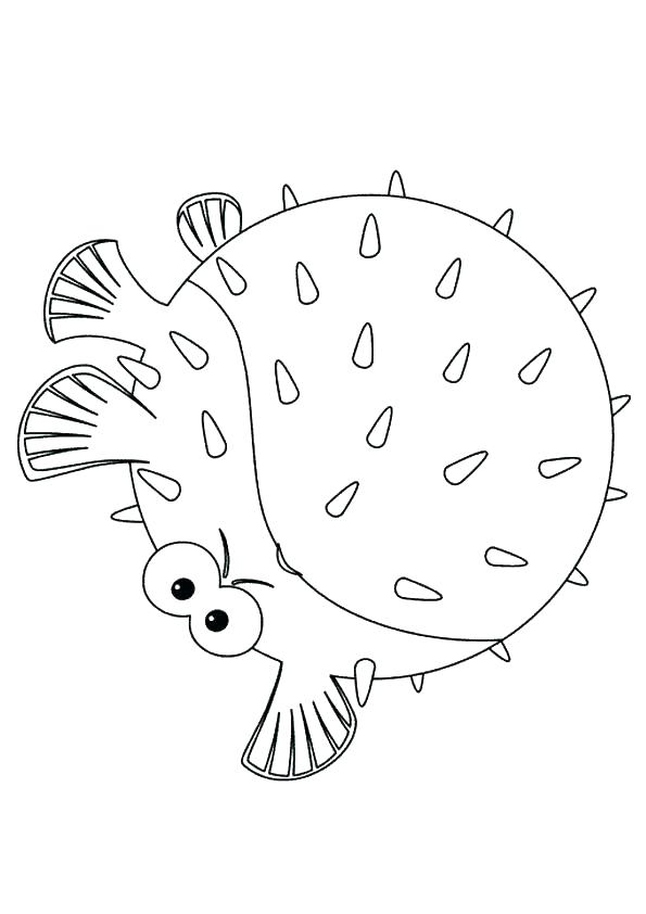 595x842 Coloring Pages Finding Color Pages Coloring Finding Squirt