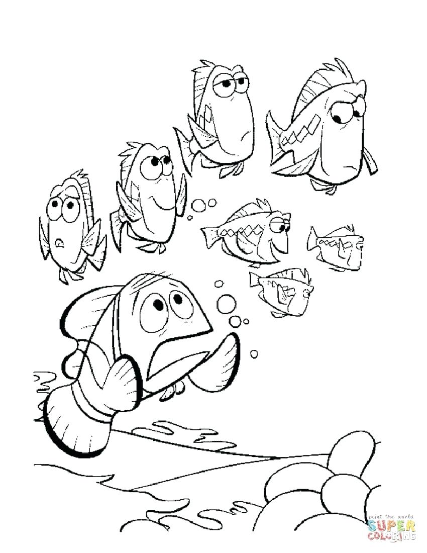 850x1100 Coloring Pages ~ Nemo Coloring Pages Finding Squirt Nemo Coloring