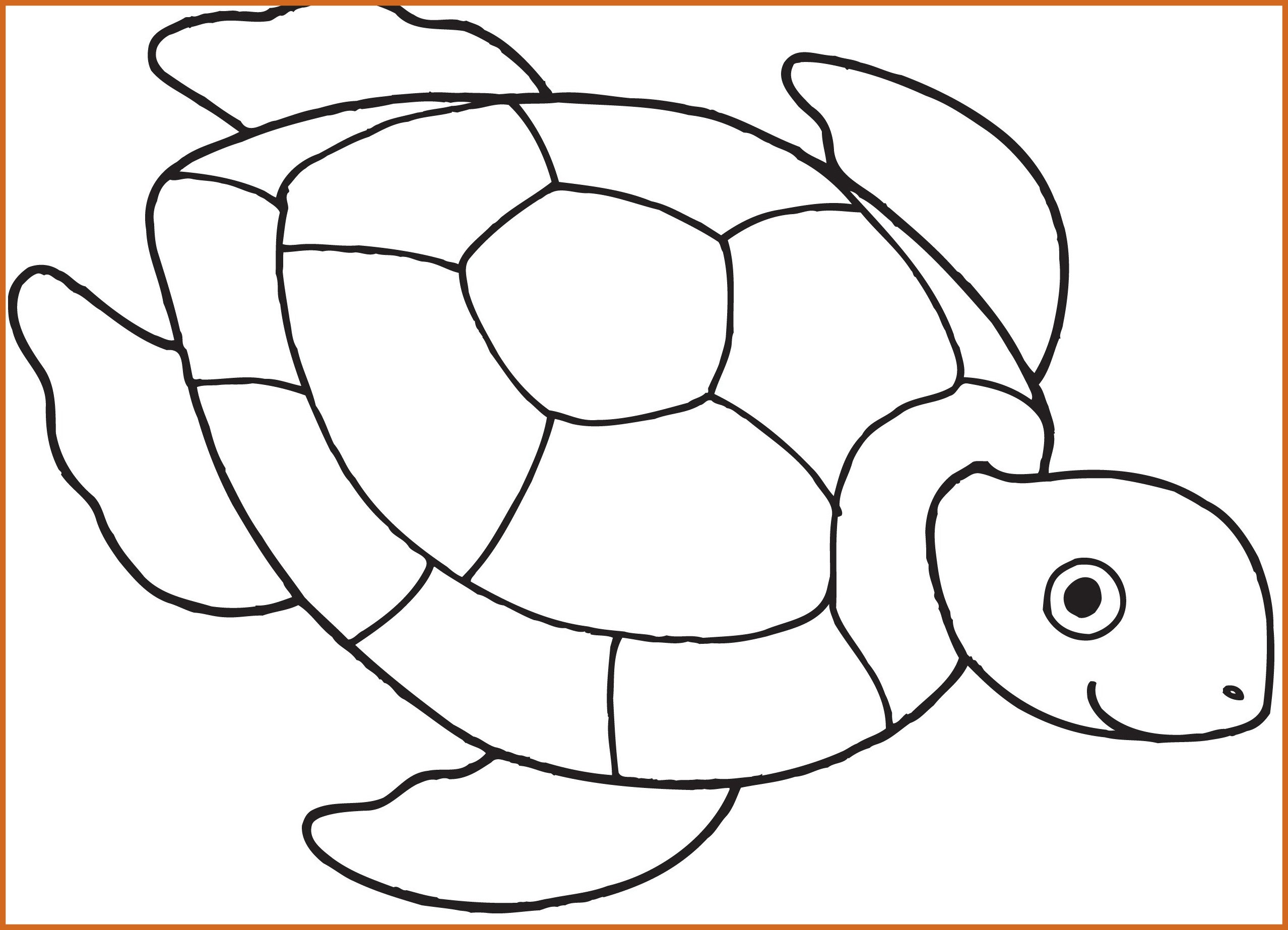 2556x1846 Awesome Finding Nemo And Sea Turtle Coloring Page Printable
