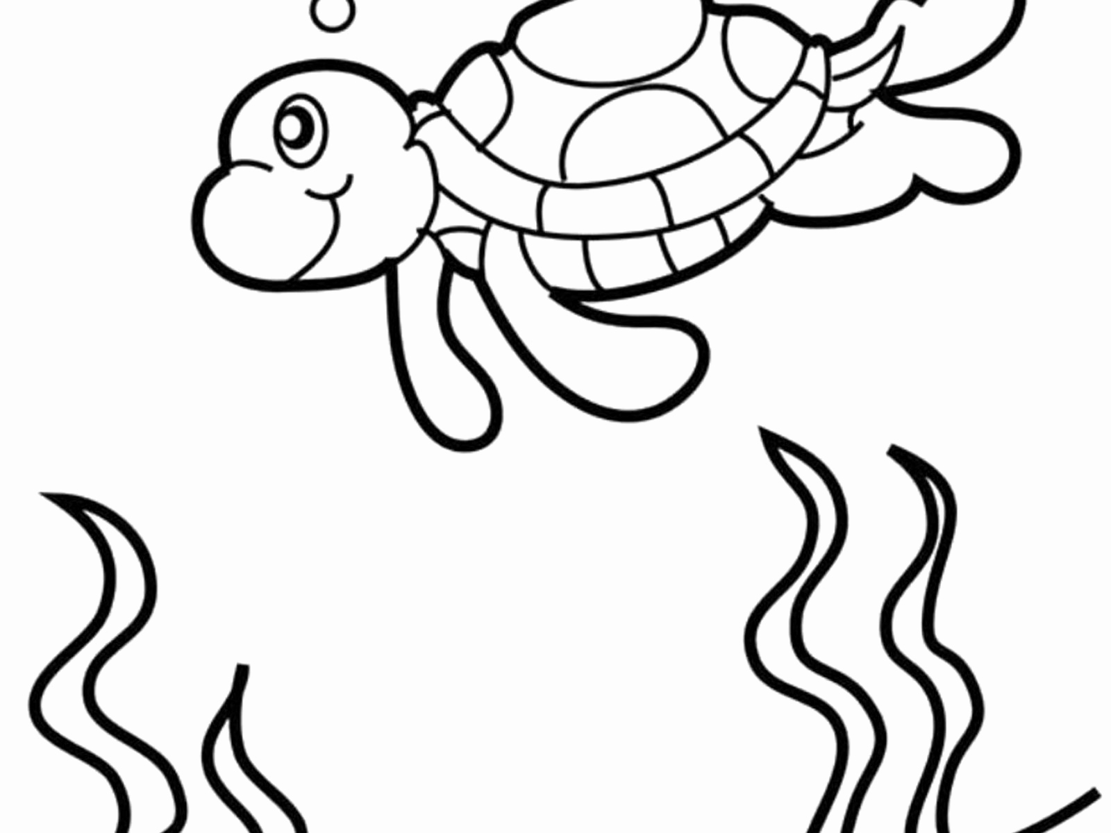 1600x1200 Finding Nemo Turtle Coloring Pages Gallery 40 Finding Nemo