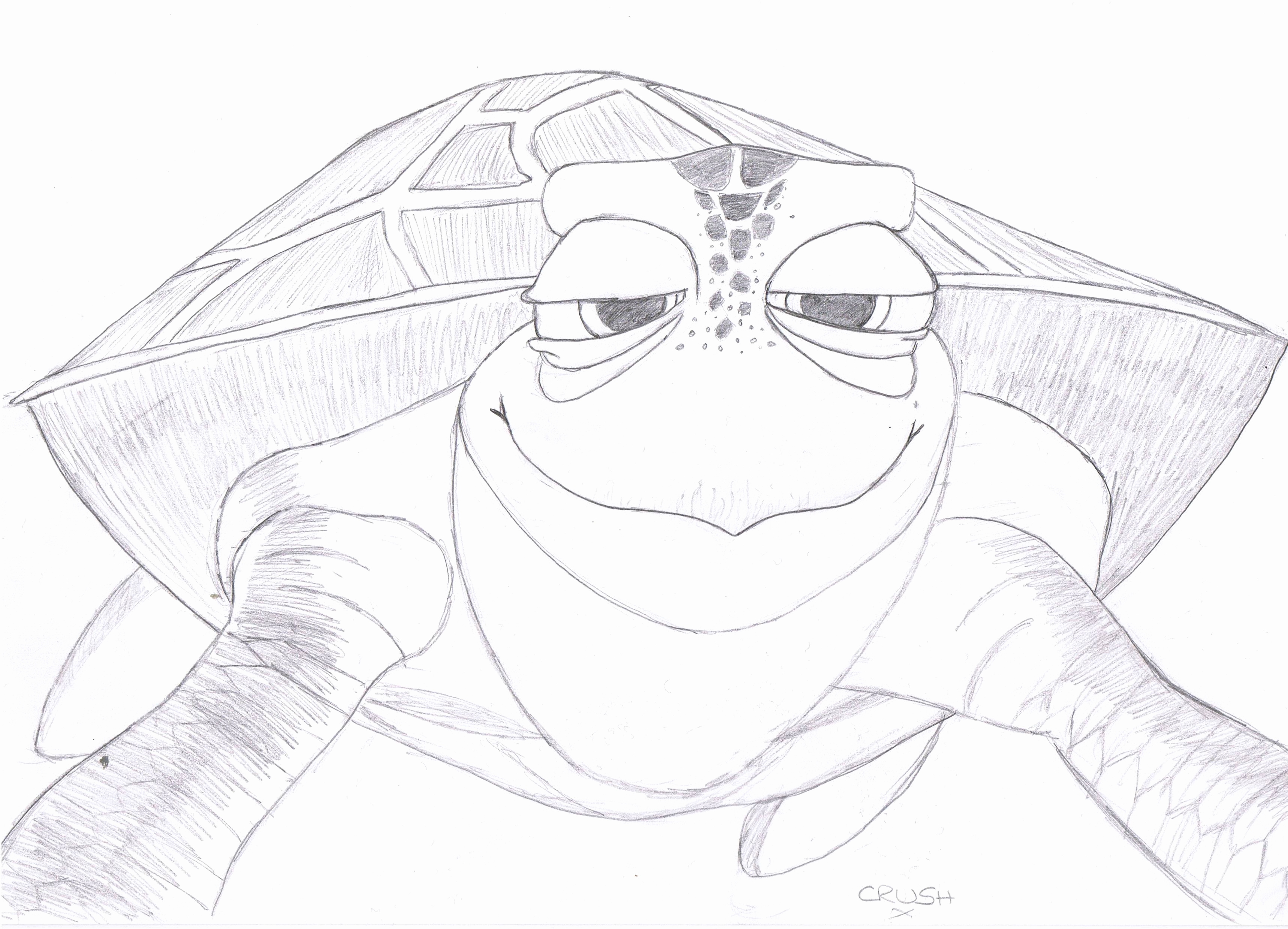 3437x2480 Finding Nemo Turtle Coloring Pages Images Nemo Coloring Page