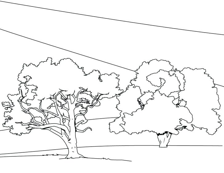 728x563 Beautiful Fingerprint Coloring Pages Ideas