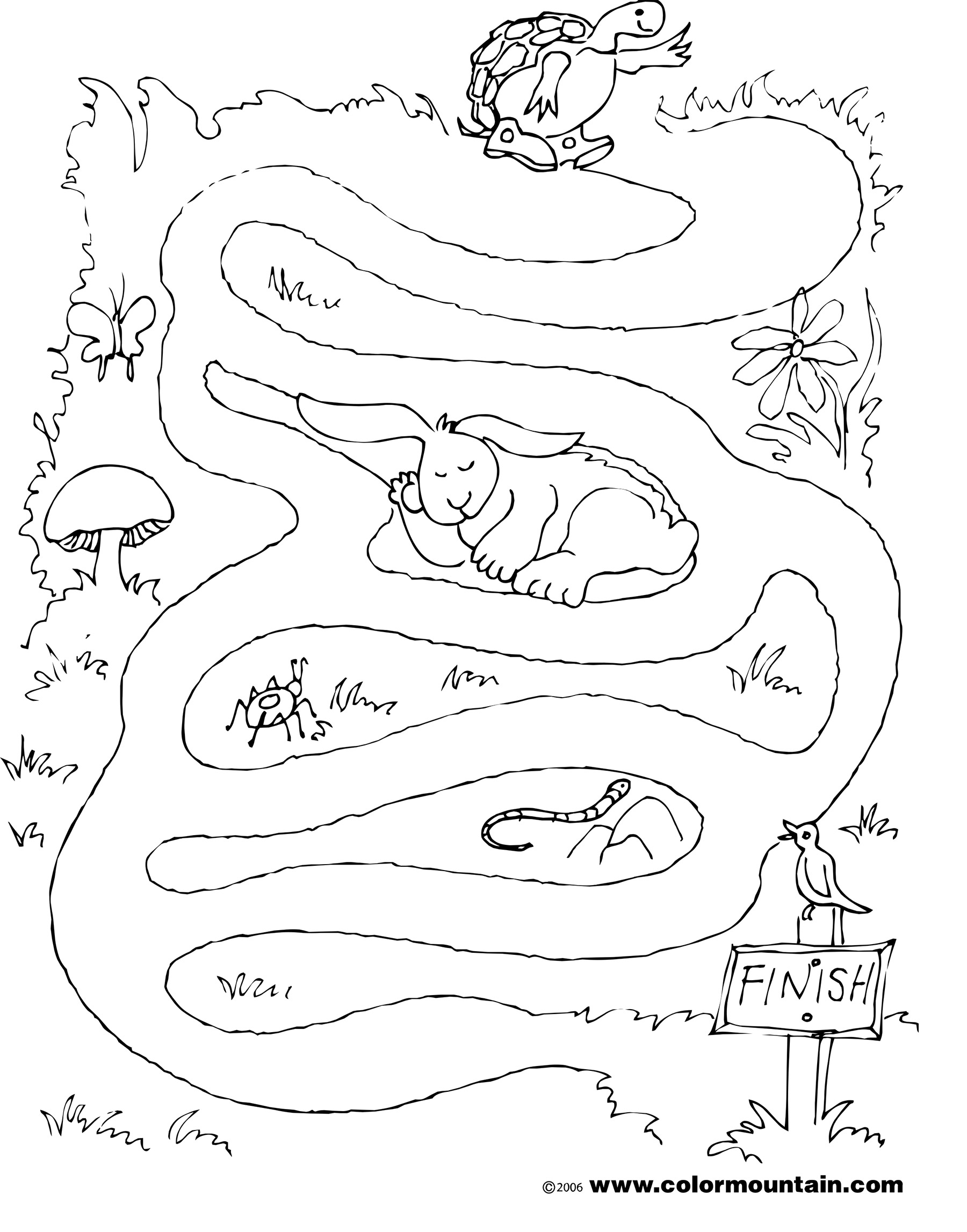 1800x2294 Turtle Coloring Sheet Maze
