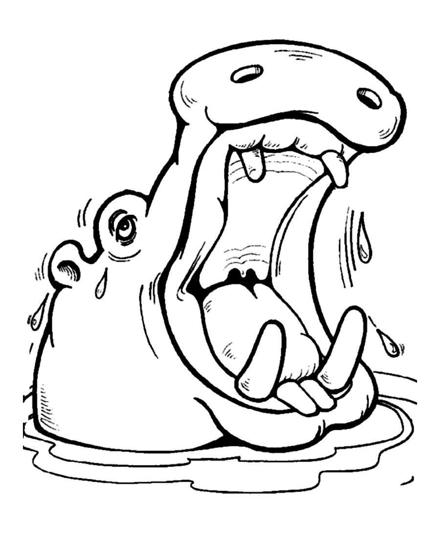 900x1101 New Fiona The Hippo Coloring Pages Gallery Free Coloring Pages