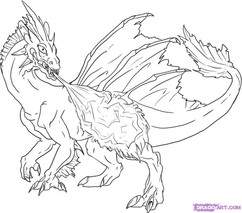 978x860 Fire Breathing Dragon Colouring Pages Grumpy Cat