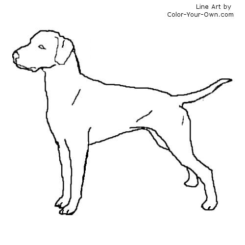 Fire Dog Coloring Page