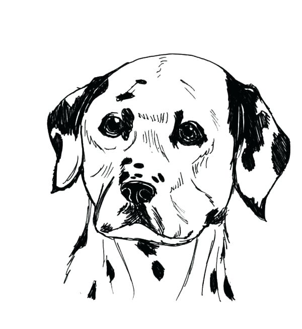 600x653 Sparky Fire Dog Coloring Pages Sparky Fire Dog Coloring Pages