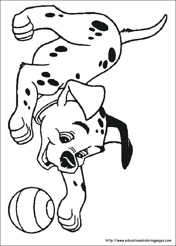567x794 Dalmation Coloring Page Dalmatian Coloring Pages Dalmatians