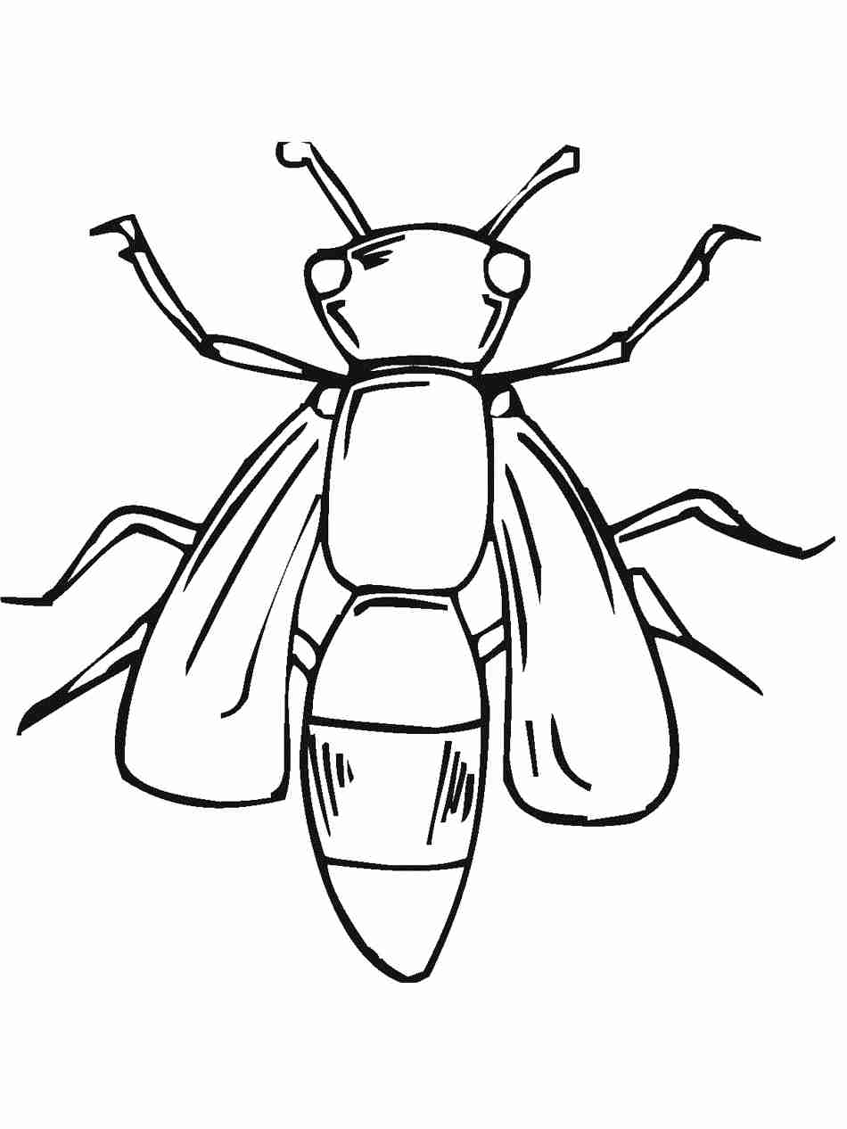950x1266 Firefly Coloring Page 7