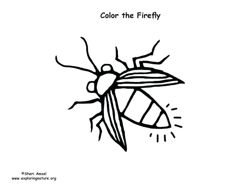 792x612 Firefly Coloring Page Firefly Coloring Pages Printable Copertine