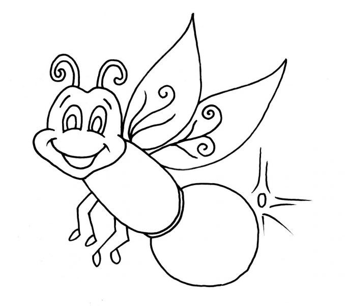 678x600 Firefly Coloring Page Free Coloring Book Firefly Coloring Page