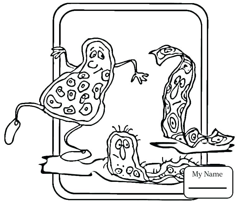 765x653 First Aid Coloring Pages And The Bear First Aid Kit Coloring Pages