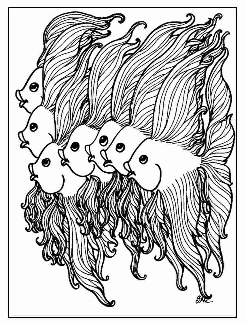 854x1130 Coloring Pages Adult Free Fish Realistic Within Olegratiy