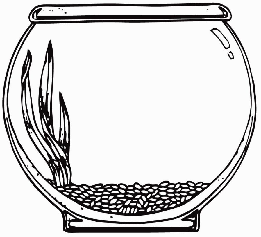 898x817 Image For Aquarium Coloring Page Printables