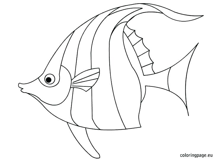 736x544 Cartoon Fish Coloring Pages Fish Images For Coloring Cartoon Fish
