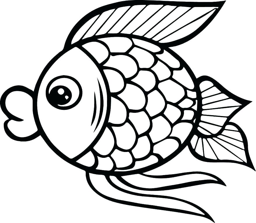 878x763 Fish Coloring Page Fish Pictures To Color Fish Coloring Pages