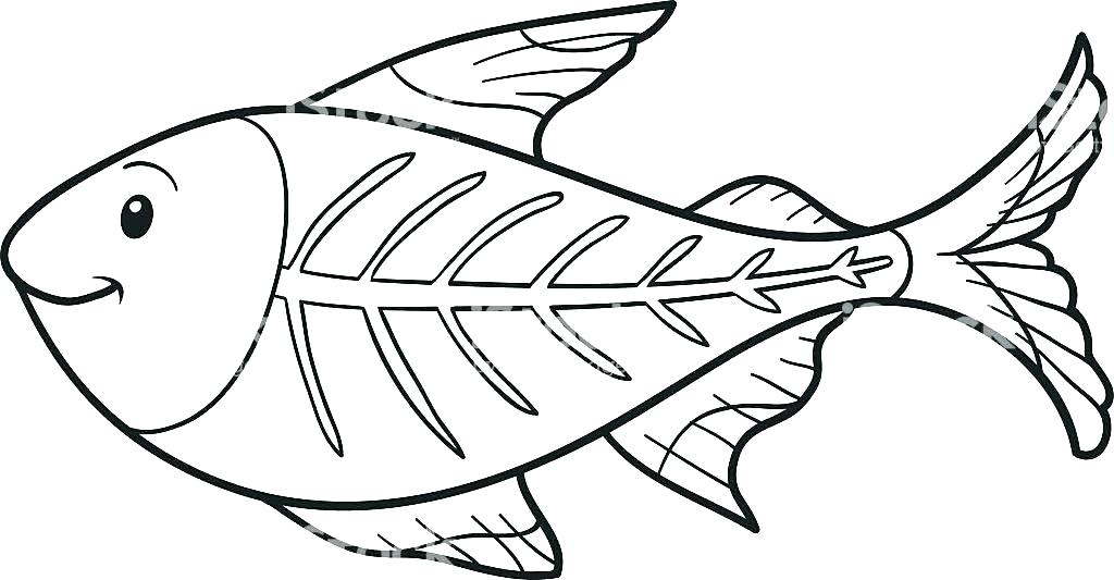 1024x533 Fish Coloring Pictures Clown Fish Coloring Page Rainbow Fish