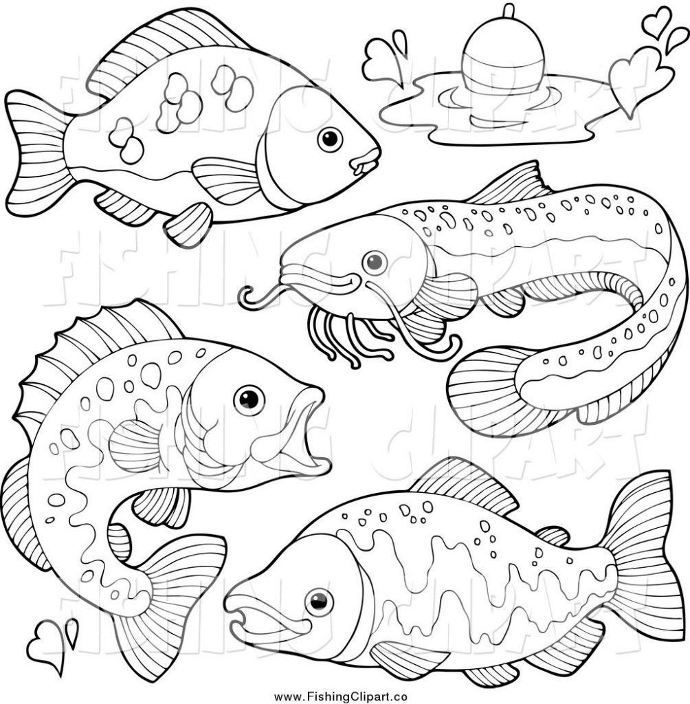1004x1024 Freshwater Fish Coloring Pages Free Coloring For Kids 2018