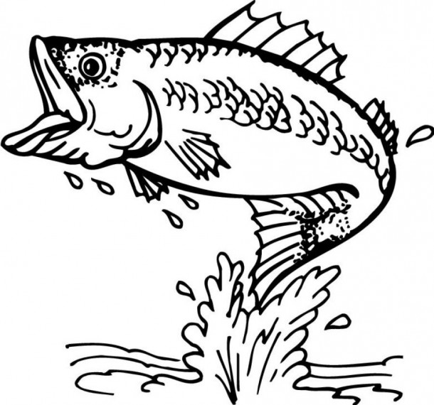 610x570 Top 92 Fishing Coloring Pages