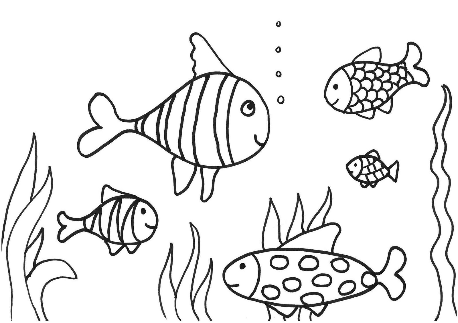 1600x1131 Free Coloring Pages Fish 4629 Coloring Pages Fish Online