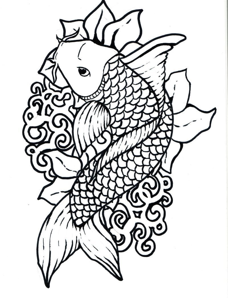 800x1046 Koi Fish Tattoo Designs Sketch Collection 11 Chinesejapanese