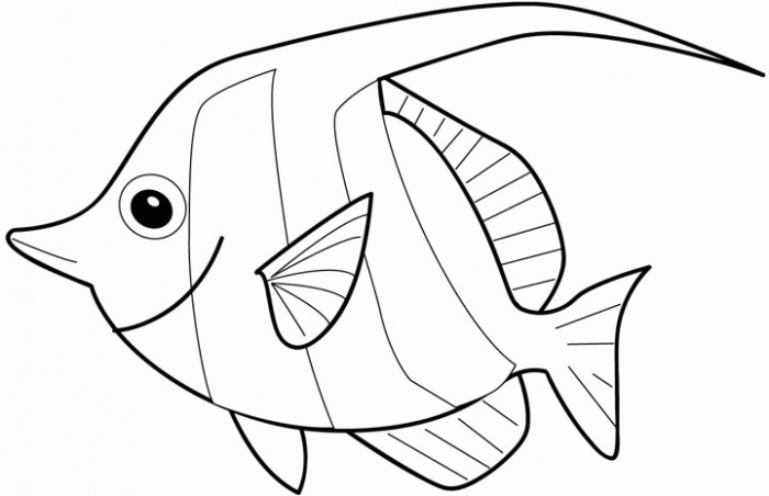 700x452 Top 10 Fish Coloring Pages And Animal Images For Kids