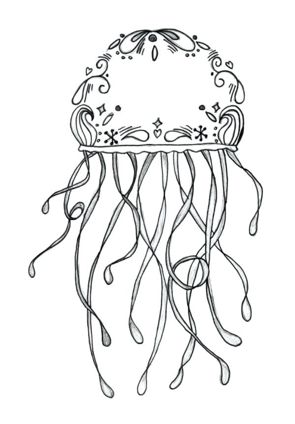 600x862 Jelly Fish Coloring Page Ocean Coloring Page Ocean Fish Coloring