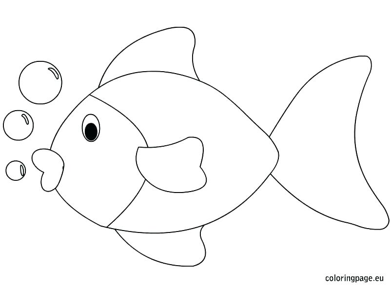 804x595 Coloring Pages Of Fish Ocean Fish Coloring Pages Fish Coloring